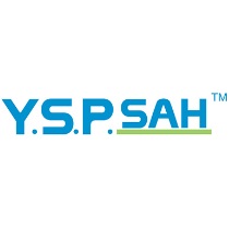 YSP Logo