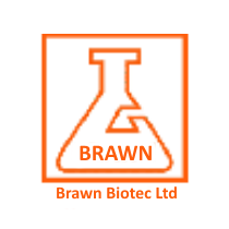 Brawn Logo